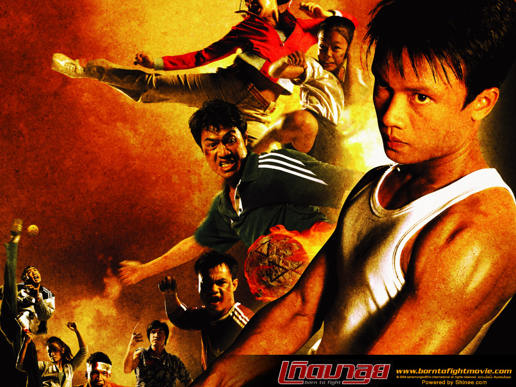 Phim Born To Fight-Sinh Ra Để Chiến Đấu