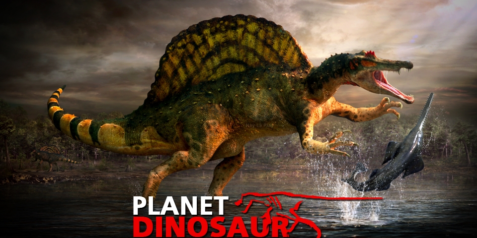 Phim Planet Dinosaur - Season 1-Thời Đại Khủng Long 1